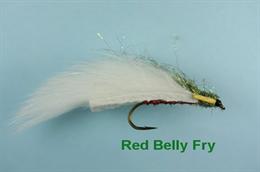 Red Belly Fry